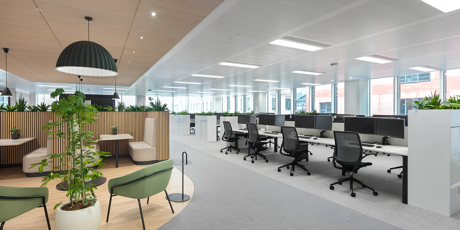Grade-A Office Suites